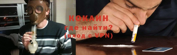 ГАЛЛЮЦИНОГЕННЫЕ ГРИБЫ Аркадак