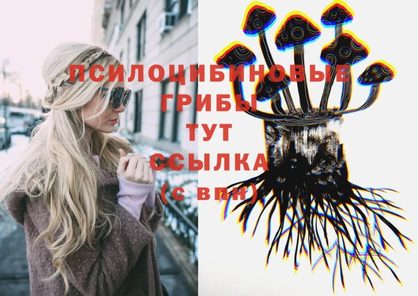 ГАЛЛЮЦИНОГЕННЫЕ ГРИБЫ Аркадак