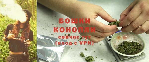 spice Арсеньев