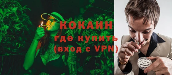 ГАЛЛЮЦИНОГЕННЫЕ ГРИБЫ Аркадак