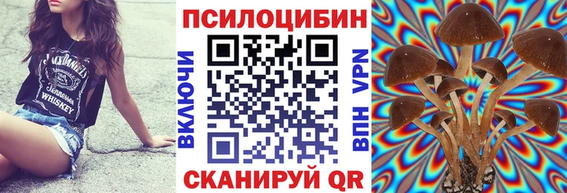 OMG вход  Фролово  Псилоцибиновые грибы Psilocybine cubensis 